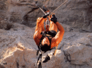CLIFFHANGER
